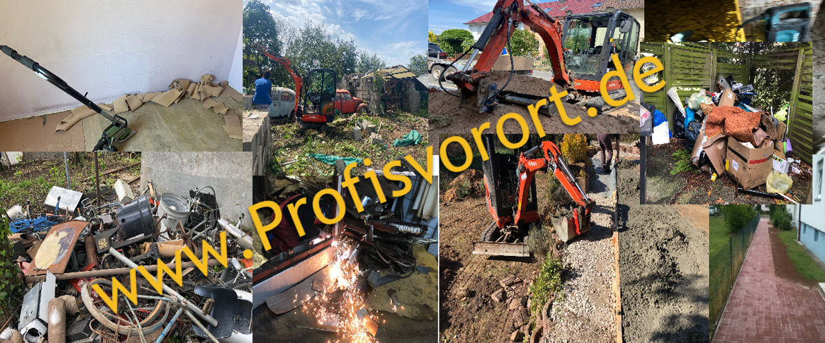 www.ProfisVorOrt.de