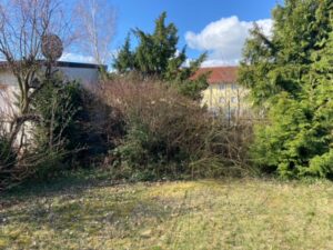 Gartenarbeiten in Bamberg und Umgebung: Rasen mähen, Hecken schneiden, Beetpflege, uvm. Profisvorort.de Tel.: 09748 872733